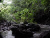 river flowing from Venado Cave